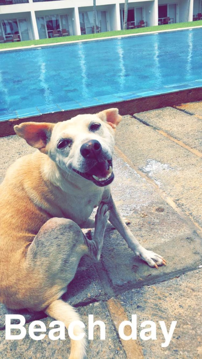 Jetwing Blue | Negombo | Sri Lanka