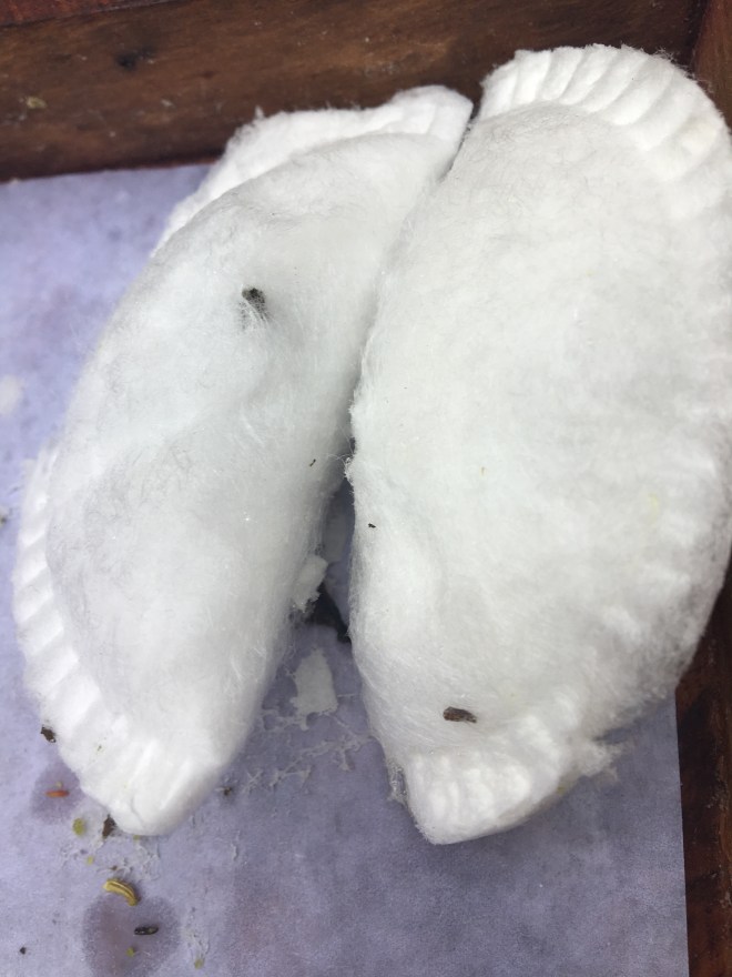 Farzi Cafe New Delhi